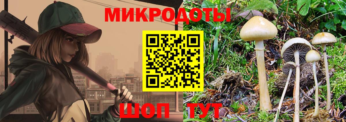 Галлюциногенные грибы Cubensis Заинск