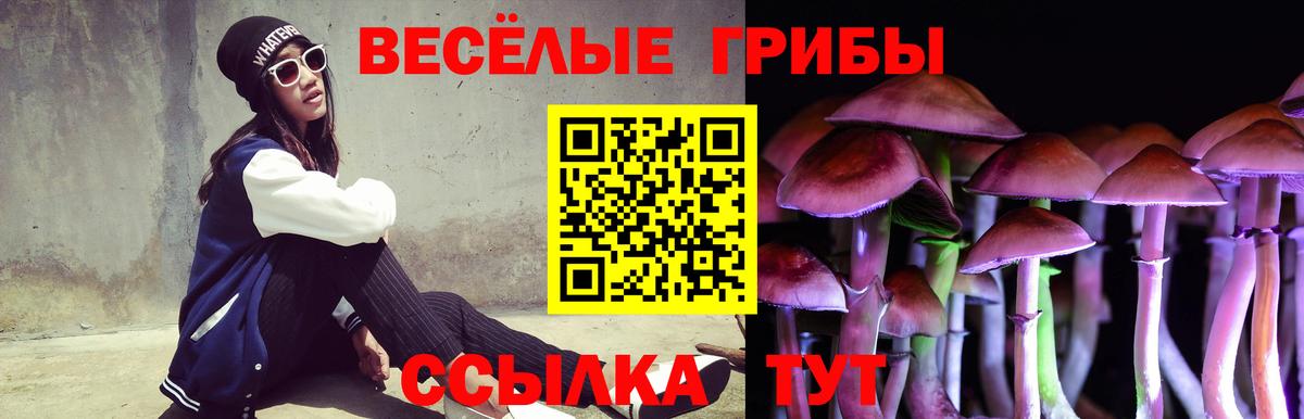 Галлюциногенные грибы мухоморы  Вход с VPN  Заинск 